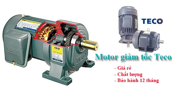 Sản phẩm motor giam toc teco — Mô Tơ Đông Anh - Công Ty TNHH Mô Tơ Đông Anh — MST 0105768913