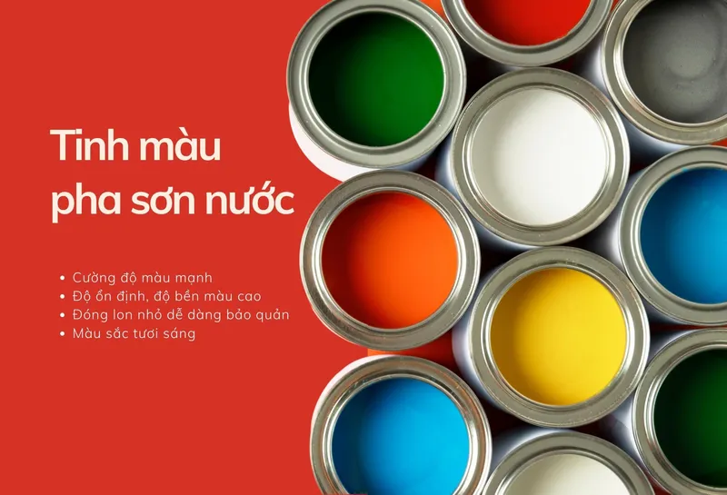 Sản phẩm Trang Web 2200 × 1500 px 1 — T&P Việt Nam - Công Ty TNHH Thương Mại Và Dịch Vụ T&P Việt Nam — MST 0105778975