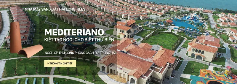 Sản phẩm ngoi_dia_trung_hai_ _hai_long — Công Ty TNHH Hải Long Việt Nam — MST 0105811911