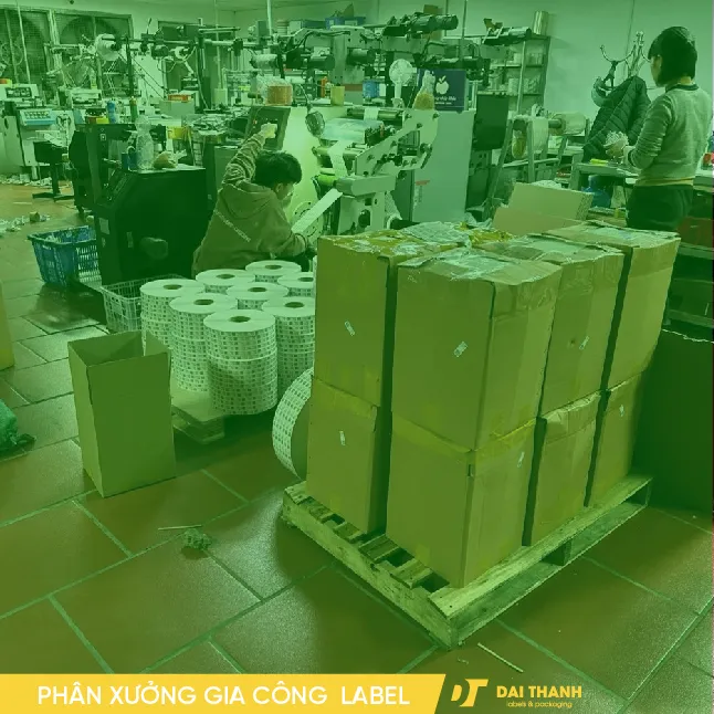 Sản phẩm z5414481755898_b61617dadfb5967ad5fbc5bf52376035 1 — In Bao Bì Giấy Đại Thành - Công Ty TNHH In Đại Thành — MST 0105831989