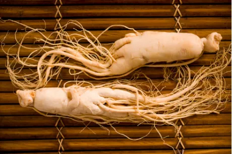 Sản phẩm 130820_ Nhan sam 01 460x306 — Bác Sĩ Tim Mạch — MST 0105840045