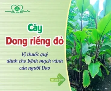 Sản phẩm thuoc chua benh tim mach khong duoc dung bua bai 3 368x301 — Bác Sĩ Tim Mạch — MST 0105840045