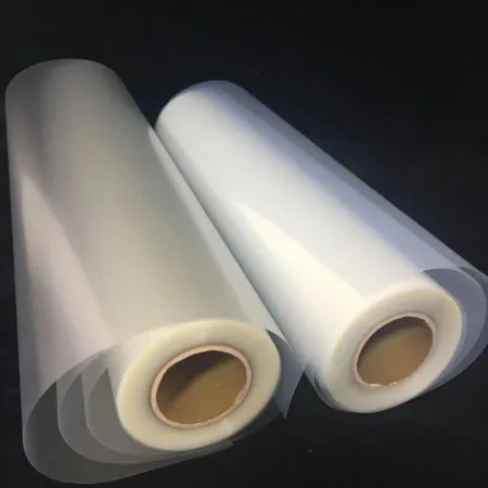Sản phẩm 28.phim dang cuon 450x450 — Vật Tư Ngành In Hòa Khí - Công Ty TNHH Hòa Khí — MST 0105842275