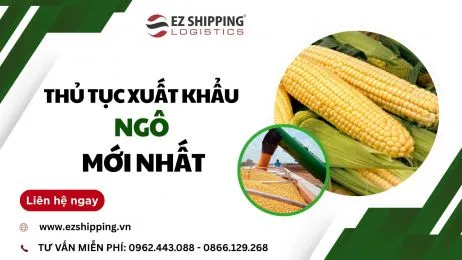 Sản phẩm thumb_260_1781079735 1856634556 thu tuc xuat khau ngo moi nhat — EZ SHIPPING LOGISTICS - Công Ty TNHH Tiếp Vận EZ Shipping — MST 0105844811