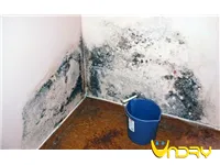 Sản phẩm Nam moc xuat hien tren tuong mua mua am  mach ban nguyen nhan va cach xu ly — Hạt Chống ẩm VNDRY - Công Ty TNHH VNDRY Việt Nam — MST 0105848196