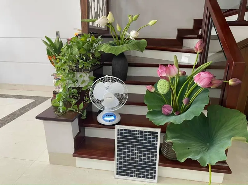 Sản phẩm qua t ba n 30 1 11 (1) — Quạt Điện Bảo Nguyên - Công Ty TNHH Thương Mại Và Sản Xuất Bảo Nguyên — MST 0105852555
