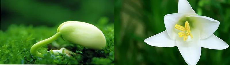 Sản phẩm spa2 — Công Ty Cổ Phần Thẩm Mỹ Đồng Cỏ Thiên Y — MST 0105870667