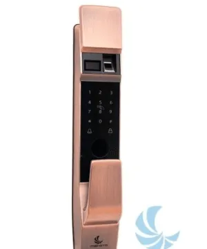 Sản phẩm ShogunA 300x360 — Công Ty Cổ Phần Xuất Nhập Khẩu Và Đầu Tư Minh Phong — MST 0105881041