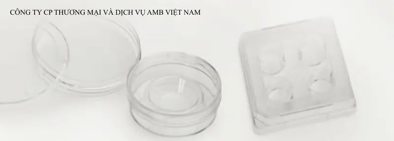 Sản phẩm 150255 — Công Ty Cổ Phần Thương Mại Và Dịch Vụ AMB Việt Nam — MST 0105897242