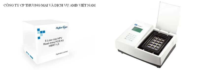 Sản phẩm 5 Low risk HPV Real time PCR Kit — Công Ty Cổ Phần Thương Mại Và Dịch Vụ AMB Việt Nam — MST 0105897242