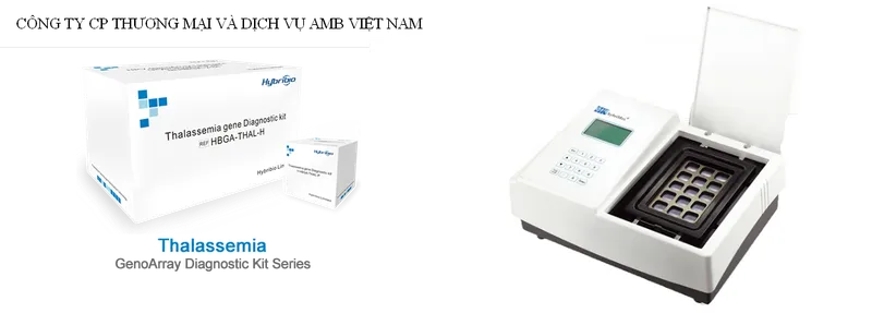 Sản phẩm Flow through Hybridization — Công Ty Cổ Phần Thương Mại Và Dịch Vụ AMB Việt Nam — MST 0105897242