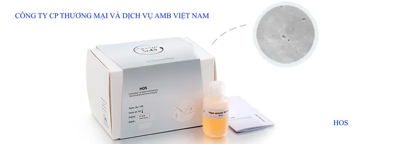 Sản phẩm HOS1 — Công Ty Cổ Phần Thương Mại Và Dịch Vụ AMB Việt Nam — MST 0105897242