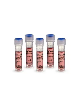Sản phẩm Hyaluronidase Solution — Công Ty Cổ Phần Thương Mại Và Dịch Vụ AMB Việt Nam — MST 0105897242