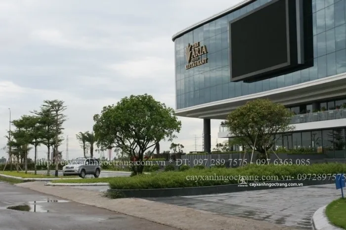 Sản phẩm KH  CH S   N   A N  NG NINH B  NH SAU 06 TH  NG THI C  NG 4 — Công Ty Cổ Phần Ngọc Trang Xanh — MST 0105899715