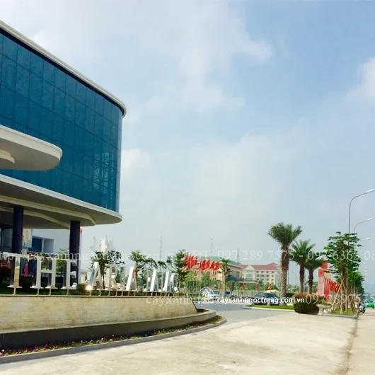 Sản phẩm NINH BINH KSDN 4 — Công Ty Cổ Phần Ngọc Trang Xanh — MST 0105899715