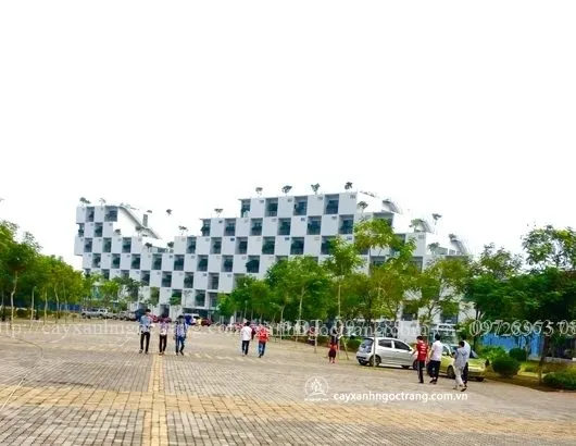 Sản phẩm   H FPT 3 530x410 — Công Ty Cổ Phần Ngọc Trang Xanh — MST 0105899715