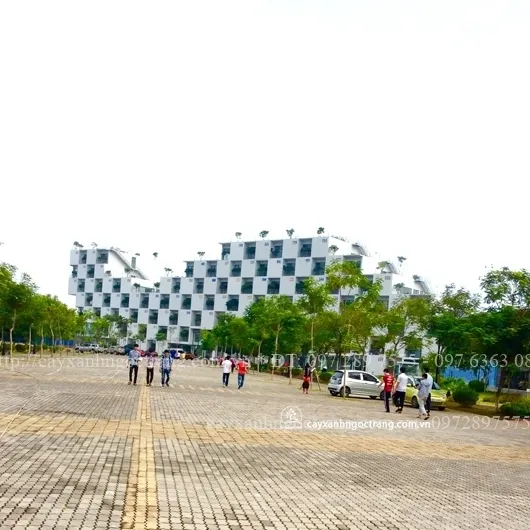 Sản phẩm   H FPT 3 — Công Ty Cổ Phần Ngọc Trang Xanh — MST 0105899715