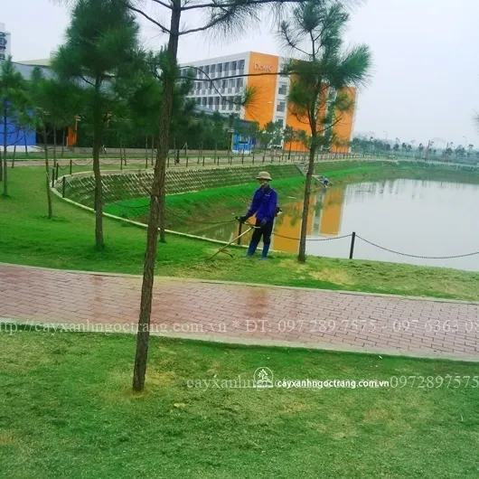 Sản phẩm IMG_20160407_154914 — Công Ty Cổ Phần Ngọc Trang Xanh — MST 0105899715