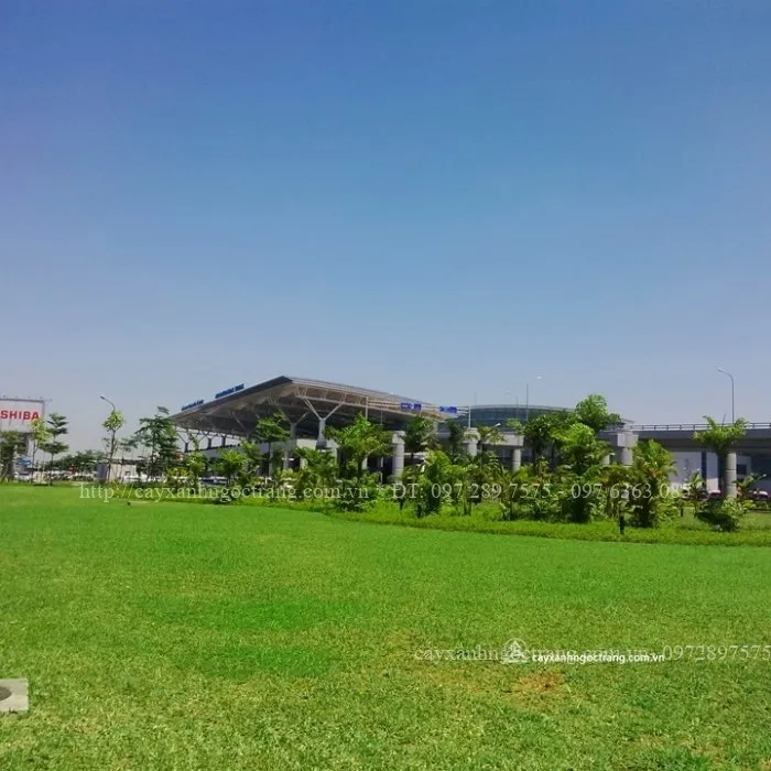 Sản phẩm IMG_20160602_104109 — Công Ty Cổ Phần Ngọc Trang Xanh — MST 0105899715