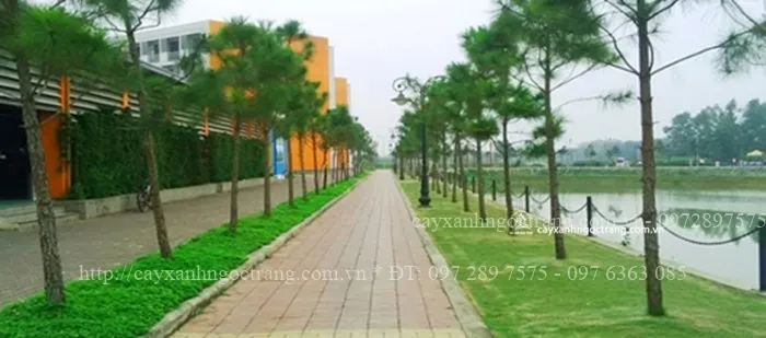 Sản phẩm FPT — Công Ty Cổ Phần Ngọc Trang Xanh — MST 0105899715