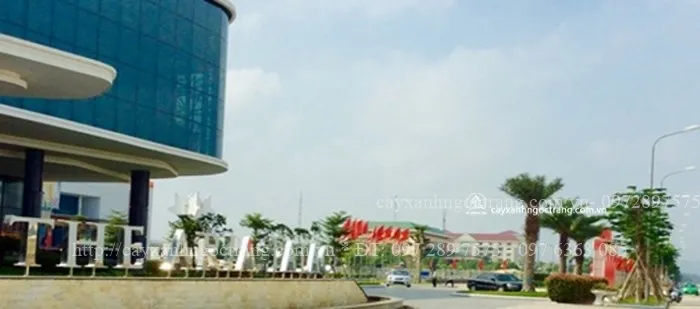 Sản phẩm NB1 — Công Ty Cổ Phần Ngọc Trang Xanh — MST 0105899715