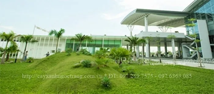 Sản phẩm T2.00 — Công Ty Cổ Phần Ngọc Trang Xanh — MST 0105899715