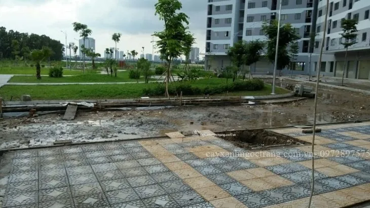 Sản phẩm z711049356531_3947983d33f1c1e3d54aaed374f88941 730x410 — Công Ty Cổ Phần Ngọc Trang Xanh — MST 0105899715