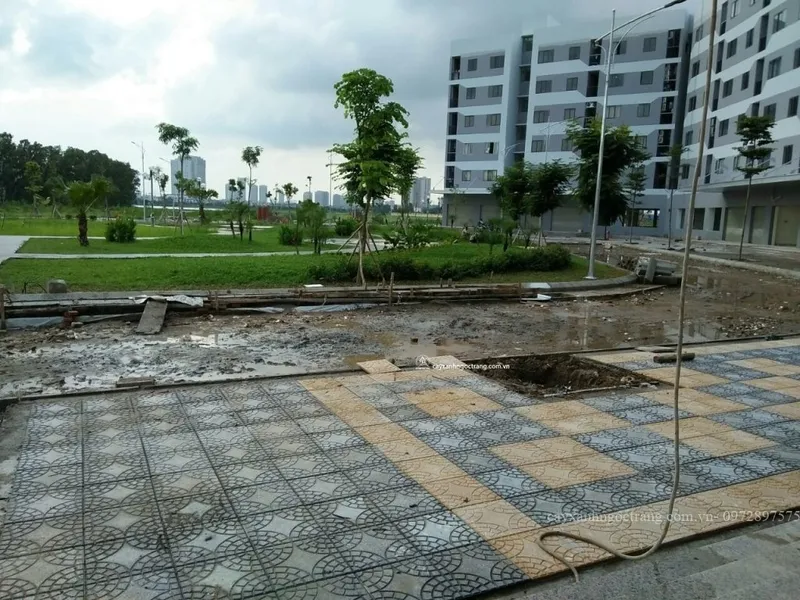 Sản phẩm z711049356531_3947983d33f1c1e3d54aaed374f88941 — Công Ty Cổ Phần Ngọc Trang Xanh — MST 0105899715