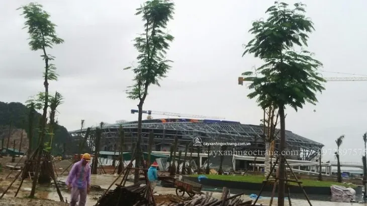 Sản phẩm z712487903836_5a0c13ad2dc3745c6457dba13ed11e76 730x410 — Công Ty Cổ Phần Ngọc Trang Xanh — MST 0105899715