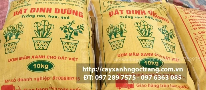 Sản phẩm slide2 — Công Ty Cổ Phần Ngọc Trang Xanh — MST 0105899715