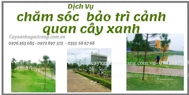 Sản phẩm cropped 7cc8ae265d97bac9e386 626x317 — Công Ty Cổ Phần Ngọc Trang Xanh — MST 0105899715