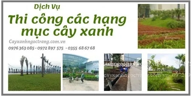 Sản phẩm cropped 8dcc5805abb44cea15a5 631x318 — Công Ty Cổ Phần Ngọc Trang Xanh — MST 0105899715