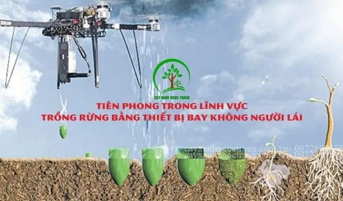Sản phẩm Trong rung bang may bay Ngoc Trang 700x410 — Công Ty Cổ Phần Ngọc Trang Xanh — MST 0105899715