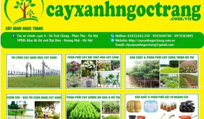 Sản phẩm cachang muc kd 700x410 — Công Ty Cổ Phần Ngọc Trang Xanh — MST 0105899715