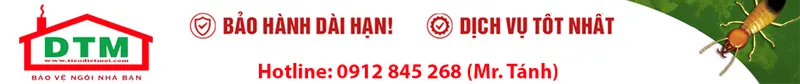 Logo Công Ty TNHH DTM Việt Nam