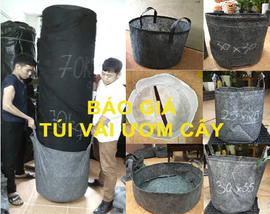 Sản phẩm Gia tui vai uom cay.jpg — Công Ty Cổ Phần Thương Mại Tổng Hợp Và Xây Dựng Hạ Tầng Việt — MST 0105914723