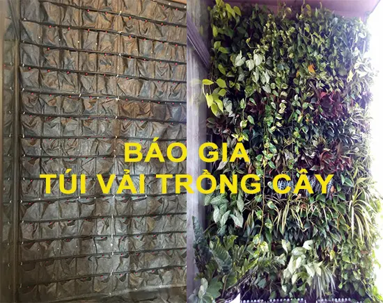 Sản phẩm gia tui vai trong cay.jpg — Công Ty Cổ Phần Thương Mại Tổng Hợp Và Xây Dựng Hạ Tầng Việt — MST 0105914723