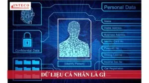 Sản phẩm Du lieu ca nhan la gi  300x169 — Công Ty Luật TNHH Inteco — MST 0105954204