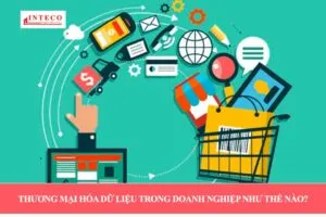 Sản phẩm Thuong mai hoa du lieu trong doanh nghiep nhu the nao  300x200 — Công Ty Luật TNHH Inteco — MST 0105954204