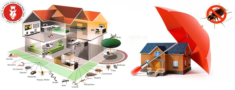 Sản phẩm pest_control — Công Ty Cổ Phần Công Nghệ Minh Tuấn — MST 0105955656