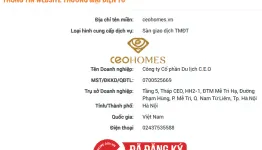 Sản phẩm dang ky thanh cong san thuong mai dien tu ceohomes 262x150 — Công Ty Luật TNHH Hùng Sơn Và Cộng Sự — MST 0105957029