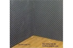 Sản phẩm True — Màng PE Vina Phát - Công Ty Cổ Phần Đầu Tư Và Phát Triển Vina Phát — MST 0105970887