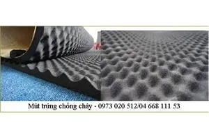 Sản phẩm True — Màng PE Vina Phát - Công Ty Cổ Phần Đầu Tư Và Phát Triển Vina Phát — MST 0105970887