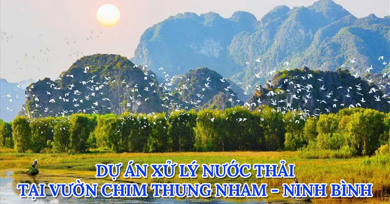 Sản phẩm cong trinh xu ly nuoc thai tai vuon chim thung nham ninh binh — Hệ Thống Xử Lý Nước Thải Việt Phát - Công Ty TNHH Thiết Bị Máy Và Công Nghệ Môi
Trường Việt Phát — MST 0105980275