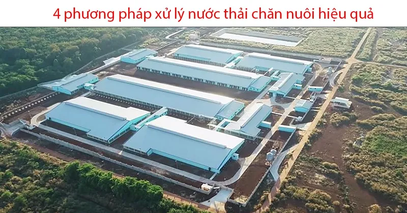 Sản phẩm xu ly nuoc thai chan nuoi 9 — Hệ Thống Xử Lý Nước Thải Việt Phát - Công Ty TNHH Thiết Bị Máy Và Công Nghệ Môi
Trường Việt Phát — MST 0105980275