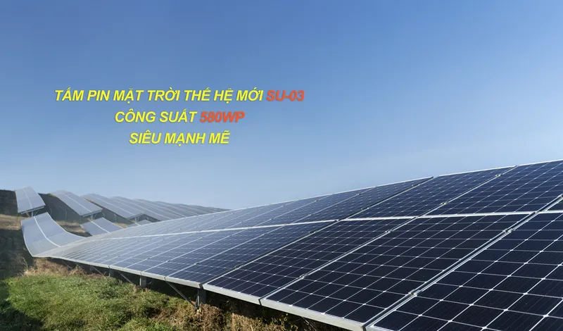 Sản phẩm 222 — Công Ty Cổ Phần SUNEMIT — MST 0105994863