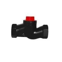 Sản phẩm van 1 chieu hoi ren gang 200x200 — Công Ty TNHH Thương Mại Và Xuất Nhập Khẩu Bình Phát Việt Nam — MST 0105997984