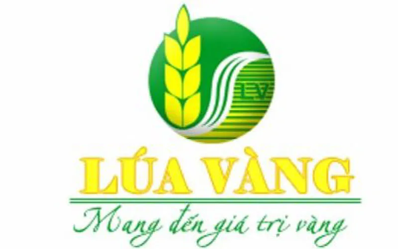 Sản phẩm 6 — Công Ty TNHH Vật Liệu Đồng Tiến — MST 0105999082