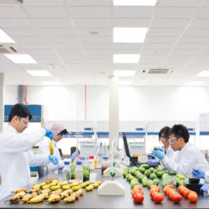 Sản phẩm Phong sach thuc pham 300x300 — Công Ty TNHH Vật Liệu Đồng Tiến — MST 0105999082