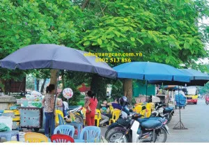 Sản phẩm o dan dung TLC 008 300x211 — Ô Dù Thành Lợi - Công Ty TNHH Sản Xuất Cơ Khí Và Thương Mại Thành Lợi — MST 0106002529